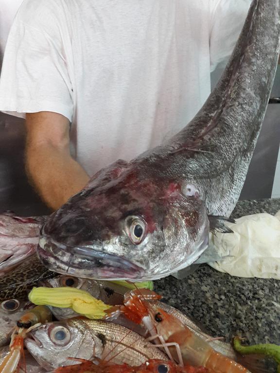 Affittacamere Sandomenico Marina di Camerota Dış mekan fotoğraf